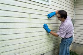 Best Vinyl Siding Installation  in River Falls, WI